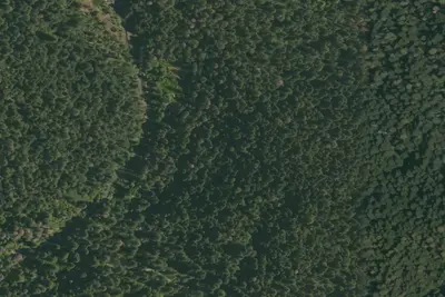 Madrone Campground