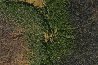 Camp site
