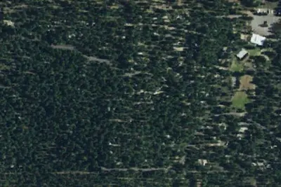 Tahoe Timber Trails