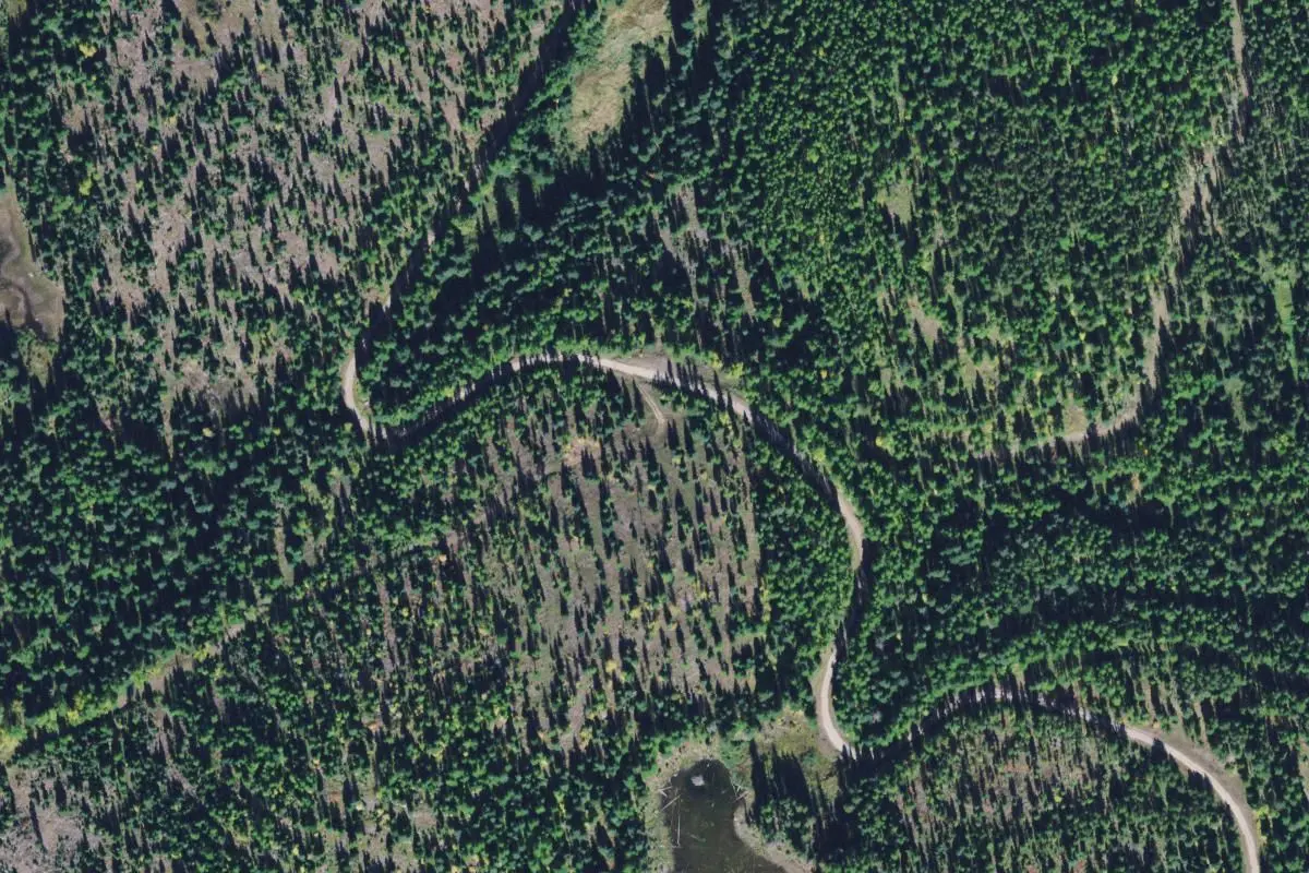 Aerial view