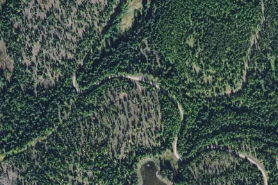 903-10 Cold-Elk Ridge Area