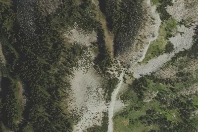 Camp site