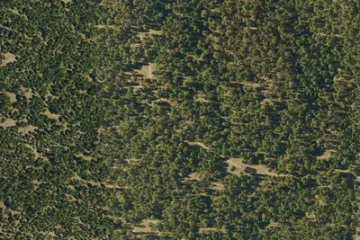 Camp site