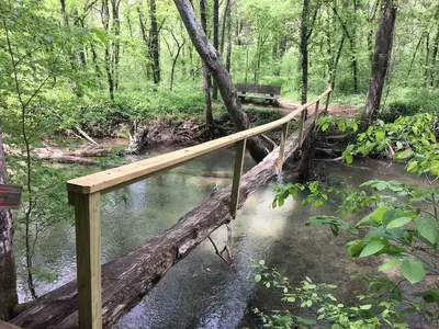 Hurricane Mill Creek Footbridge