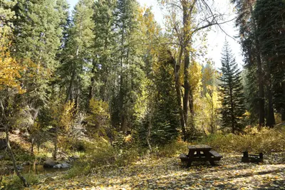 Cold Springs Campground (CA)