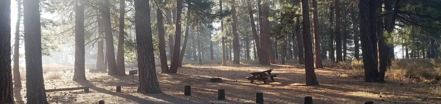 Prosser Family Campground
