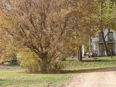 Portland Mo near the KATY Trail fall 2011 - panoramio