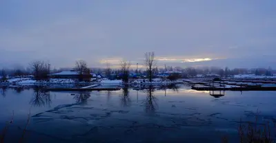 Winter's beauty (45421269014)