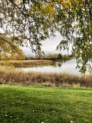Dick Bell Andrew Haydon Park, Ottawa (50511890382)