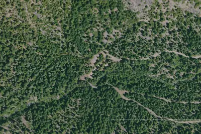 Camp site