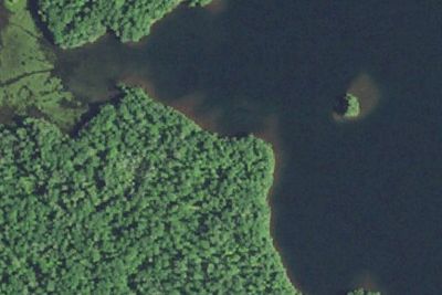 Trout Lake Canoe 5