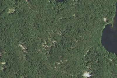Site 9