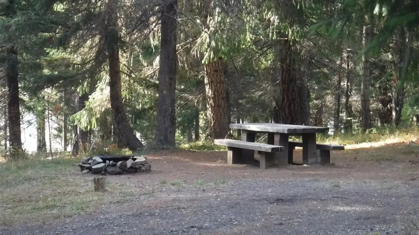 Flat gravel driveway leading to campsite with picnic table and fire ring in pine forest.