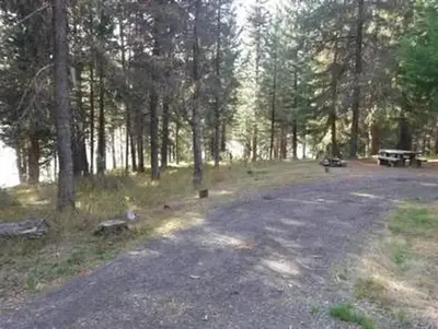 Flat gravel driveway leading to campsite with picnic table and fire ring in pine forest.