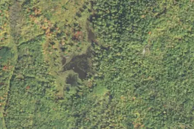 Sht- Beaver Pond
