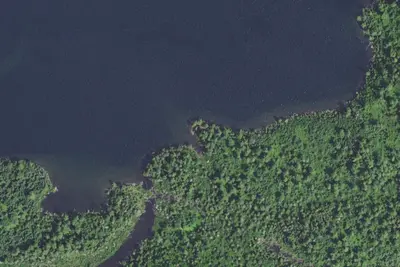 Duncan Lake #6