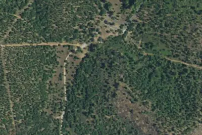 Pines Campground