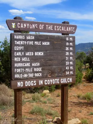 Canyons of the Escalante DyeClan.com - panoramio (1)