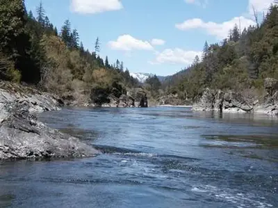 Tree of Heaven Campground