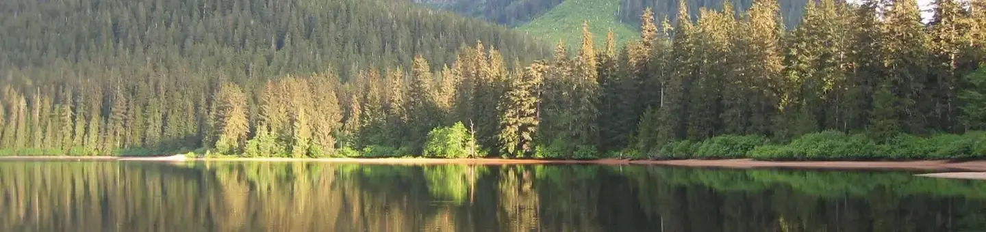 Kook lake cabin1