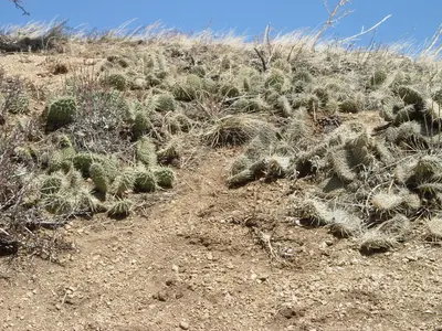 Curt Gowdy State Park (2426391928)