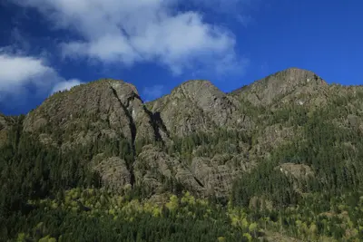 2015-05-05 Buttle Lake 5198