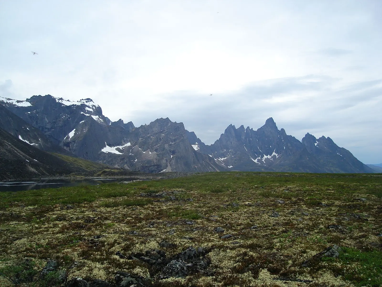Photo of Tombstone Territorial Park