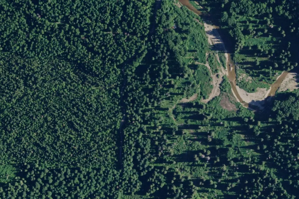 Aerial view