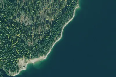 Jackson Ds-Site 5