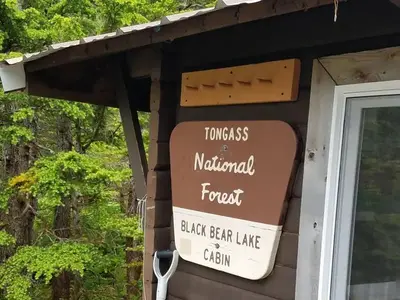 Black Bear Lake Cabin