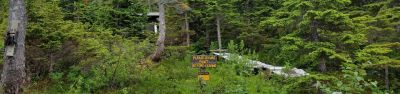 Black Bear Lake Cabin (Tongass National Forest, AK)