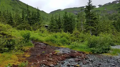 Black Bear Lake Cabin2
