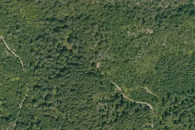 Camp site