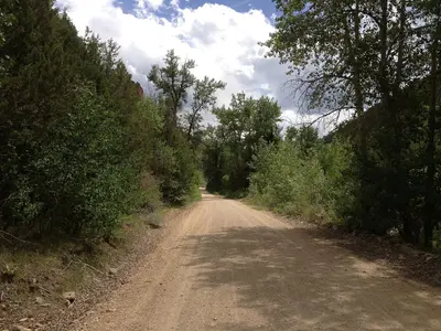 2014-06-24 13 31 39 View south along Elko County Route 748 (Charleston-Jarbidge Road) about 20.9 miles north of Charleston, Nevada
