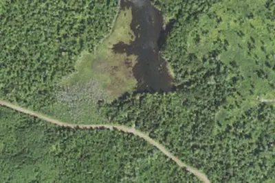 Dam Five Lake Site 1