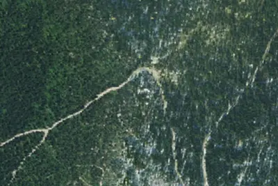 Fs Road 2667 (Roman Nose Access)