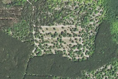 Garey Lake Trail Camp