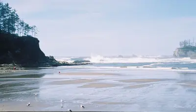 Oregon Coast (2369002247)
