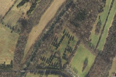 Site 5