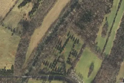 Site 5
