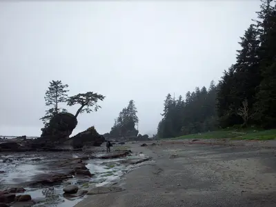 Bonilla Point Sea Stacks - panoramio