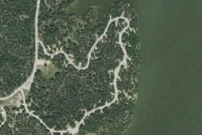 Live Oak