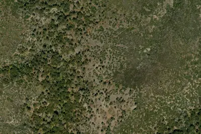 CS 0508, Horse Camping