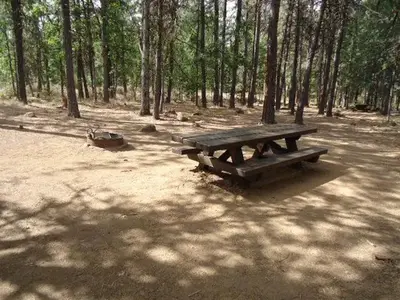 Rock Creek Mt Hood NF22