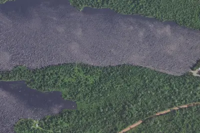 Cascade Lake Site 1