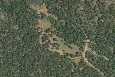 Reynolds Creek Campground