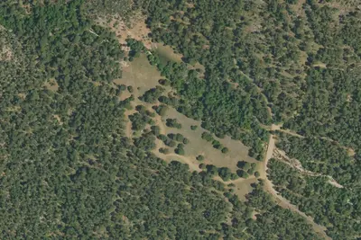 Reynolds Creek
