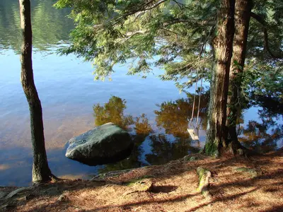 Pawtuckaway campsite
