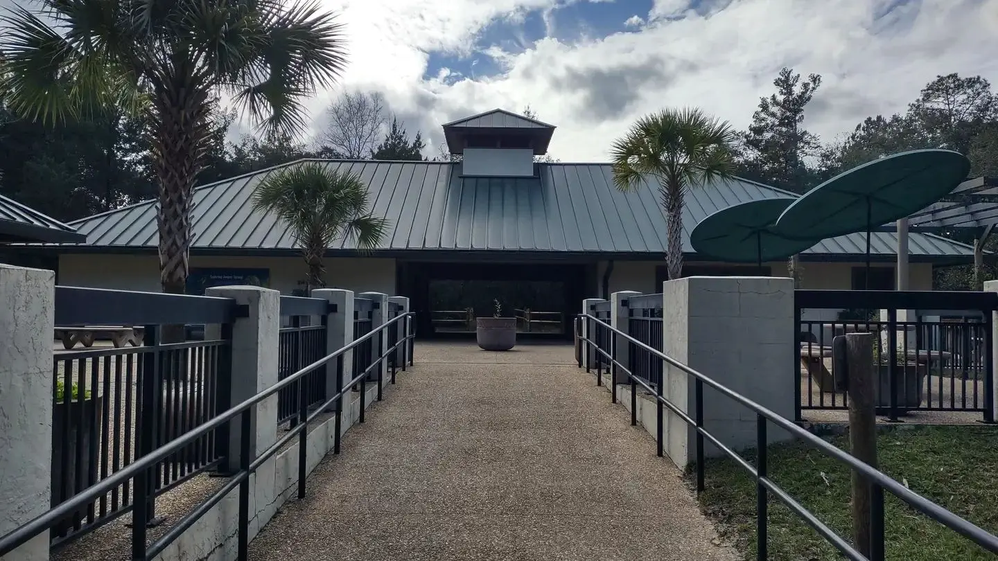 Welcome to Juniper Springs!