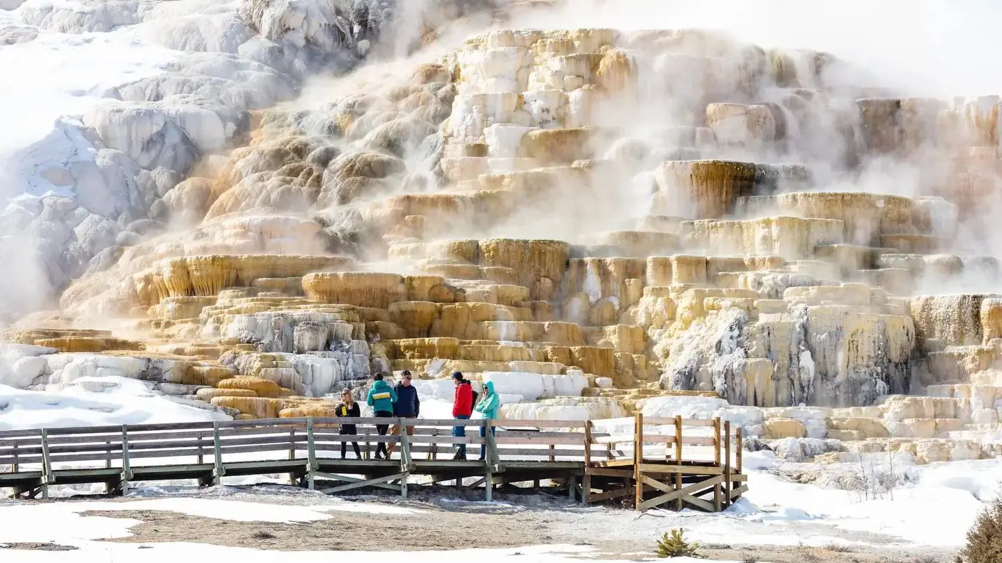 Mammoth Hot Springs boardwalk in front of a hydrothermal feature
